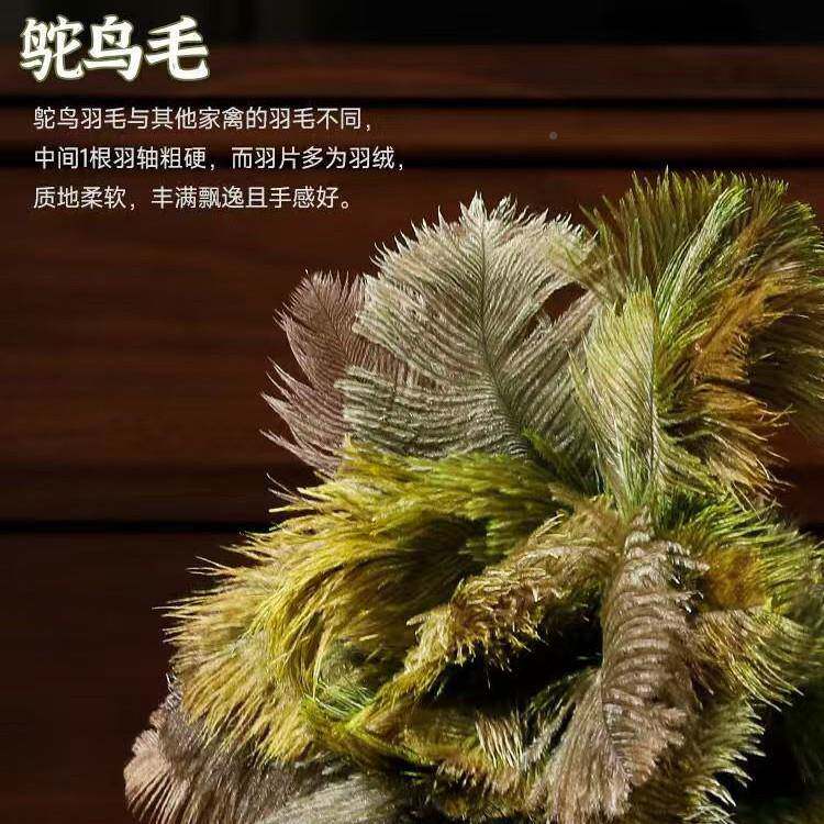 鸵鸟毛羽毛掸子家用手电毛除尘掸扫灰工清SSB洁长柄鸡掸子静工厂