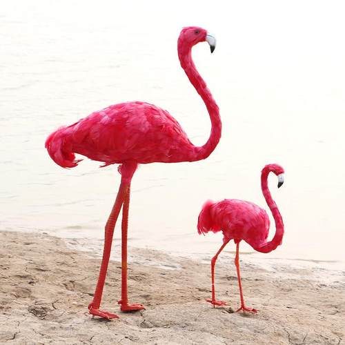 摆濮艺工品仿真鸟火艺烈PEZ鸟真羽毛湿地动物件摄影道具超母子鸟