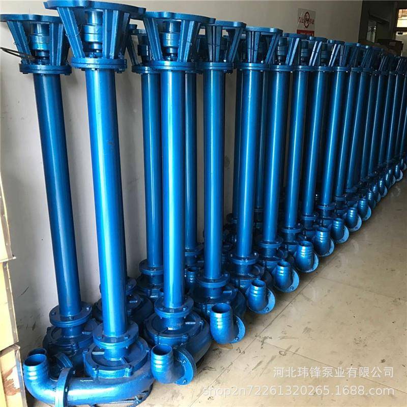 75N杆WL9LUM型立加式长液下污水泥浆泵盘根-形式排污清淤泥浆泵