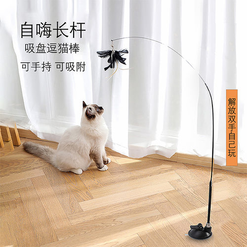 爆款猫咪玩具可拆卸钢丝逗猫杆强