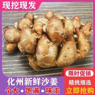 正宗化州南盛沙姜山奈白切鸡香油鸡捞粉香油配料蘸料新鲜现挖现发