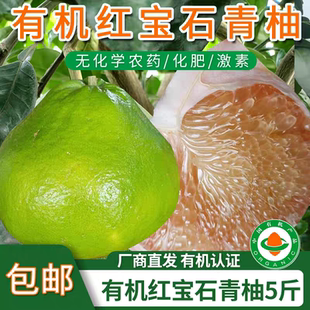 四川泸县有机红宝石青柚子 果肉清甜酸甜可口孕妇儿童无农残激素