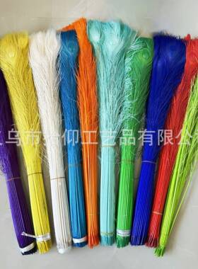 彩色漂白孔雀羽毛80-90CM影视插花孔雀毛DIY羽毛翅膀背板羽毛