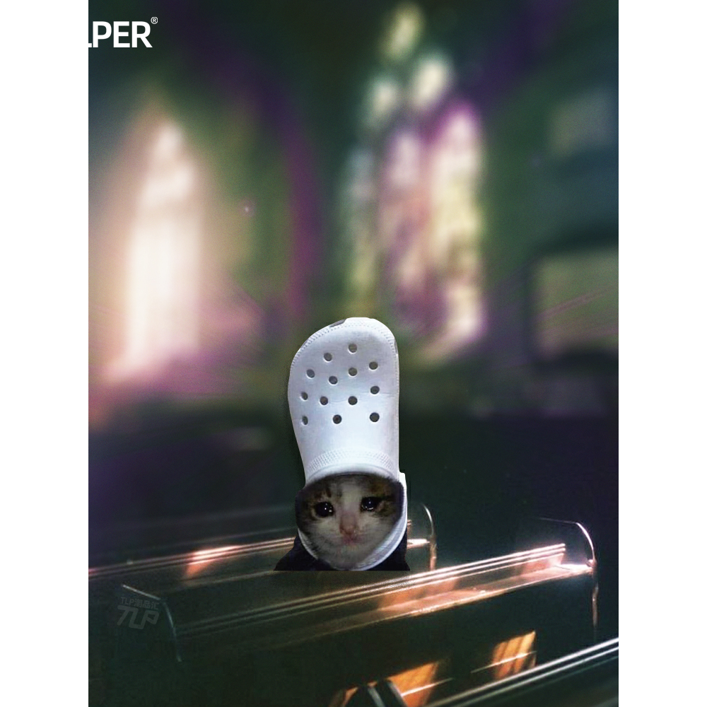 贴纸猫咪表情包悲悯的顶鞋猫