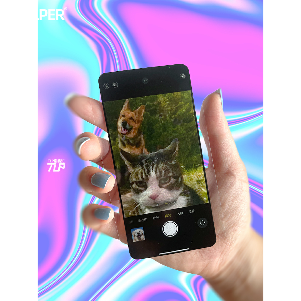 贴纸原创自拍猫猫和抢镜的狗狗