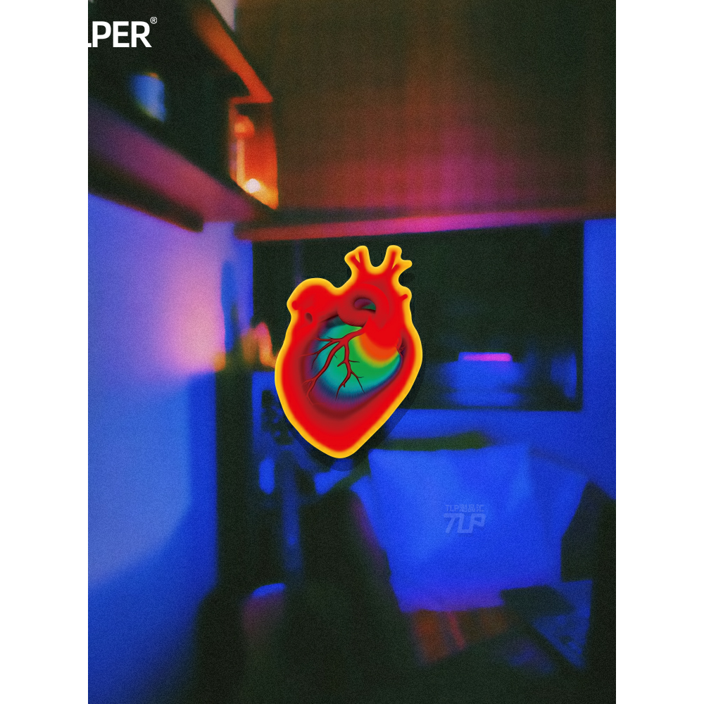 贴纸原创献出心跳心脏横截面