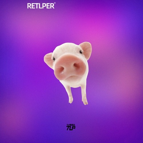 TLP反光贴可爱的大鼻子宠物小猪