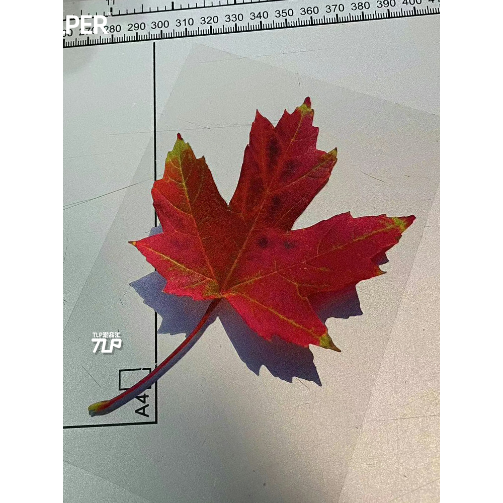 贴纸TLP反光车贴心情切片彩色红
