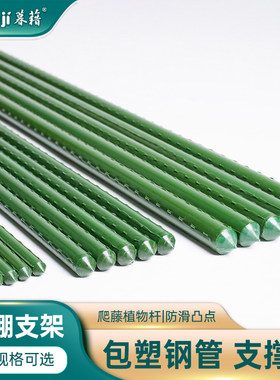 园艺支撑杆户g外葡萄架黄瓜豆角番茄百香果爬藤架植物支架包塑钢