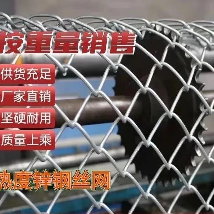 热镀锌铁丝网勾花网养鸡