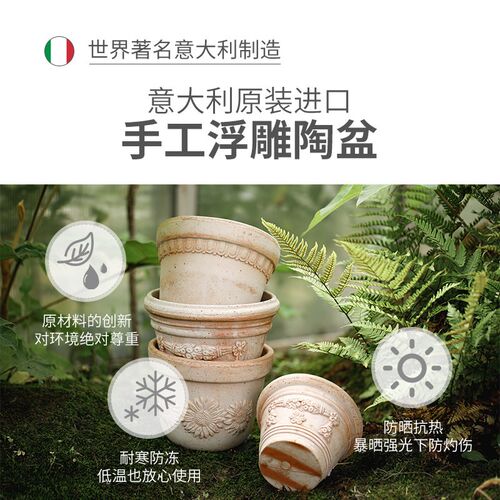 有寻植物 帝哥花盆浮雕手工陶盆意大利进口盆器透气透Z水意式轻奢