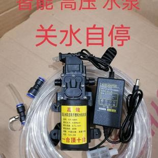 高扬程 纯铜电机开槽机水钻机水泵 智能高压大功率增压泵水量调节