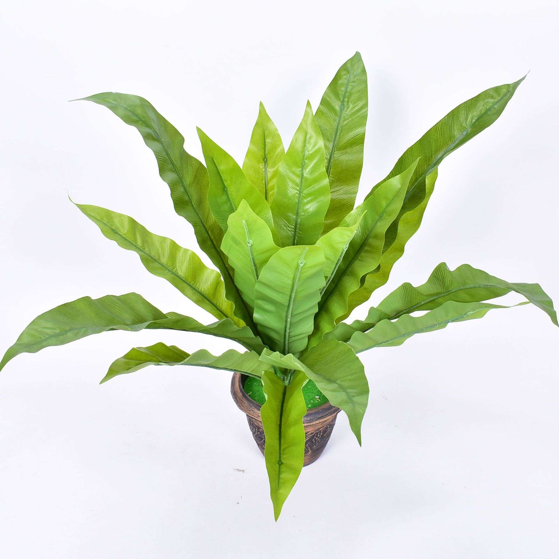 仿真过胶绿植热带雨林手感小蕨叶蕨类植物墙上绢花盆栽田园鸟巢叶