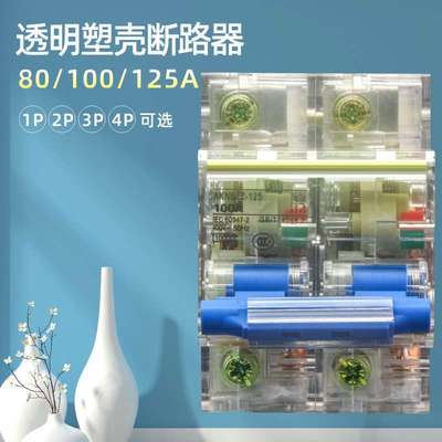 2P蓝手柄透明断路器 DZ47-125/100/80 2P 100A透明空气开关