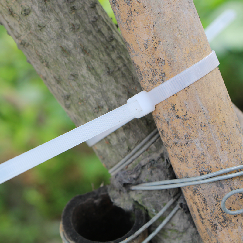 添翼扎带尼龙自锁式尼龙塑料卡扣扎带捆绑扎线带固定器绑绳一拉得