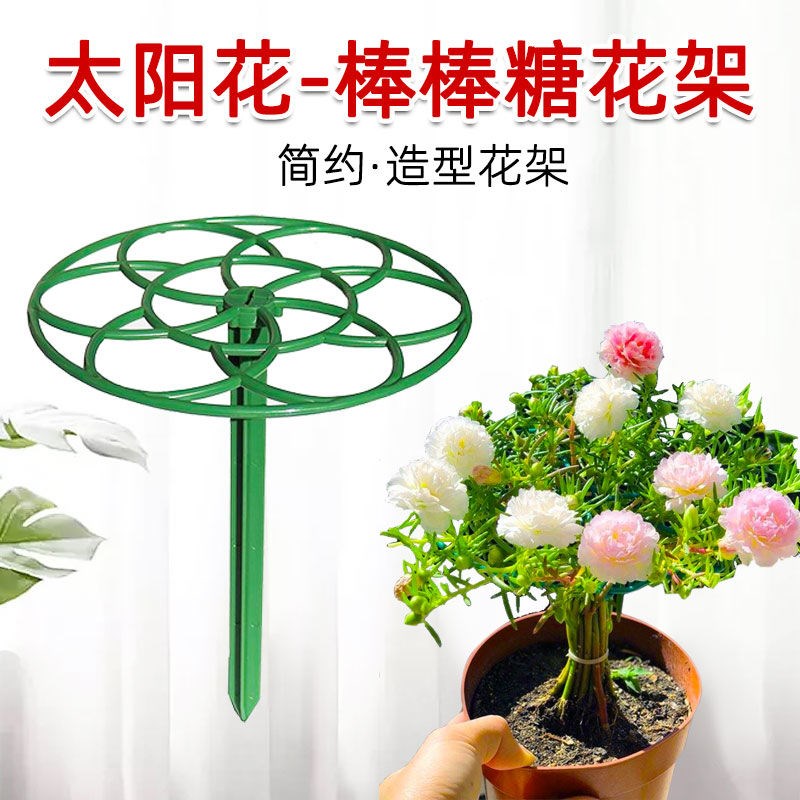 太阳花架棒棒糖造型架防倒伏花架子多层蟹爪兰支撑杆植物爬藤固定