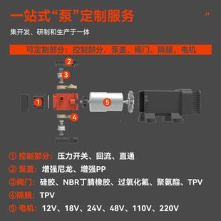 1WLO2力泵小型电动隔V增压水泵高压压0.8Mpa防干烧可膜自吸5.5