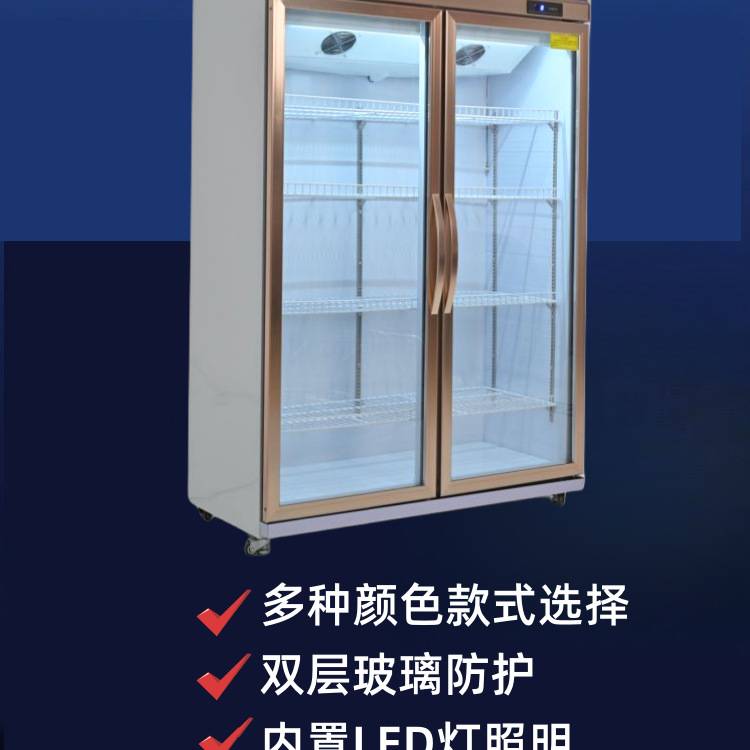 柜立式饮料柜大容量冰柜单啤酒双门冷藏展示柜保鲜柜超市商用冰箱