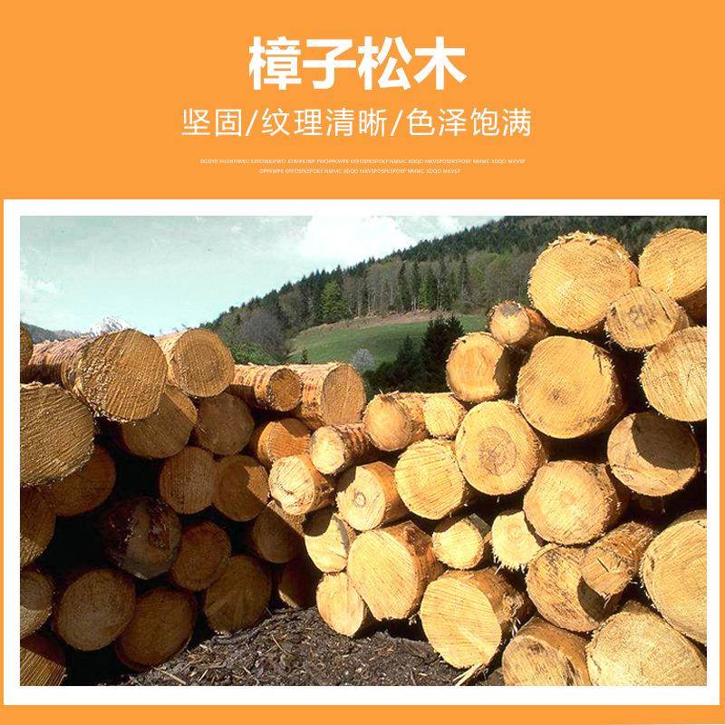 木质简约书架自由组柜合带门置物架书松玩木柜格子储物儿LMY童具