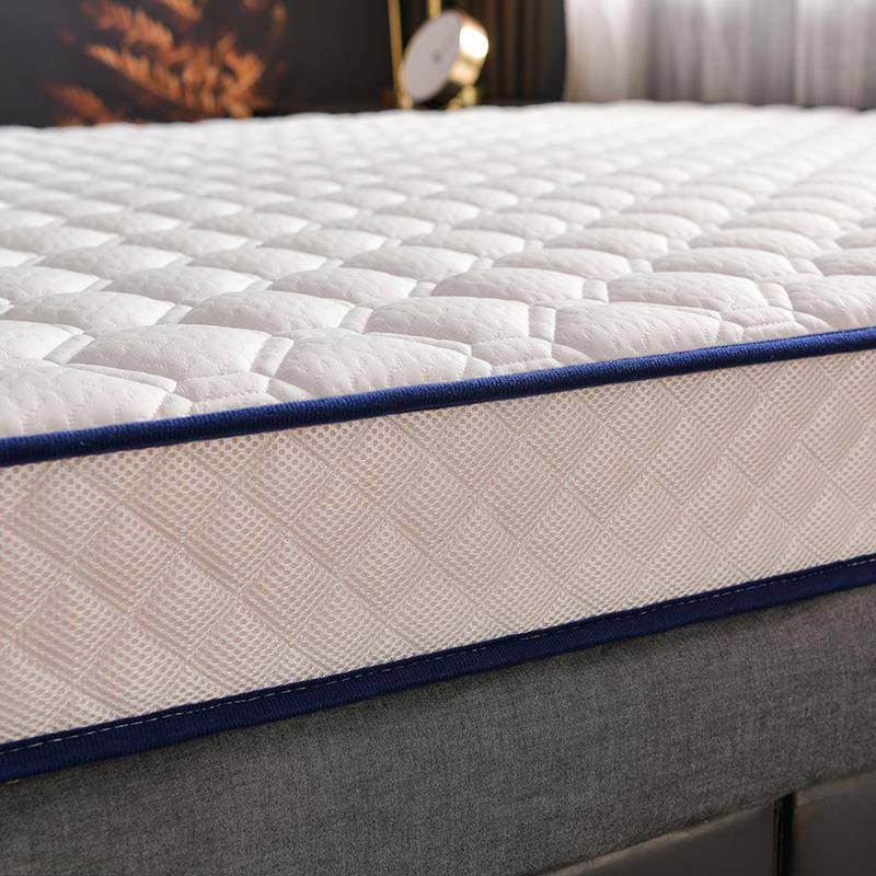 乳胶床垫软家用针织网格宿舍学生厚单人加榻榻米垫子海绵垫垫褥子