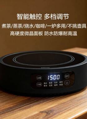 新款多功能电陶炉动围炉煮茶你器家用小磁型烧水LZK自保温电炉迷