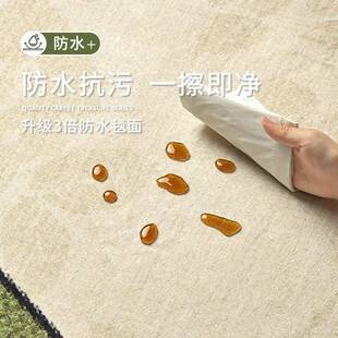 中沙发几地Sfyr6225垫防水防污家用茶异 客厅地古毯卧室洗可擦法式