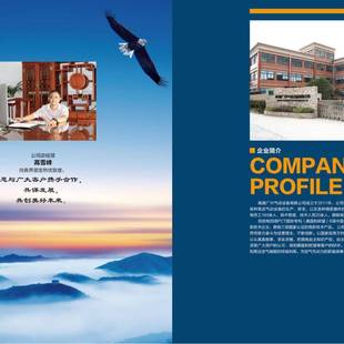 促销 超高压p打气机机高压无油打气水潜高压无油NEQ打气泵30ma