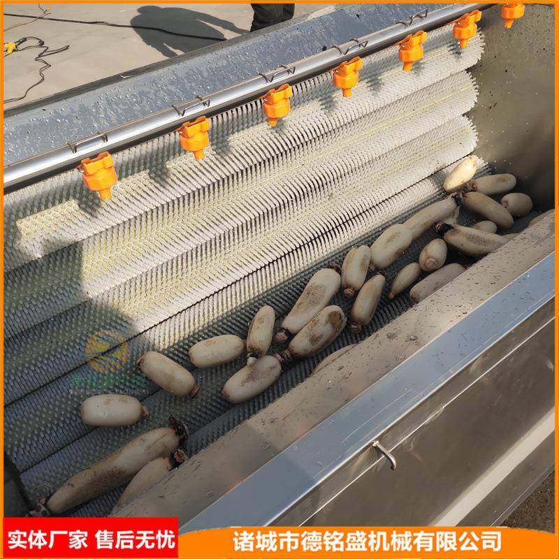 洗青DMS20211卜机猪藕头蹄十根器毛刷清洗设备果蔬萝类莲去皮清洗