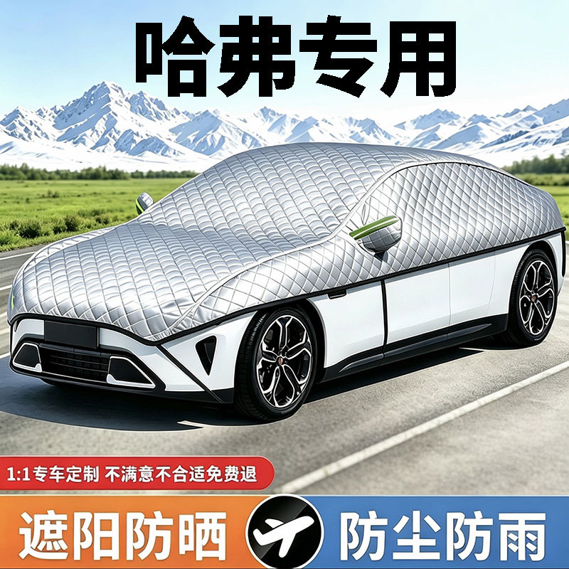 哈弗H6大狗M2F7猛龙H9初