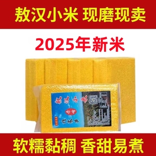 2025年新米内蒙古赤峰敖汉小米大金苗农家黄小米小黄米食用小米粥