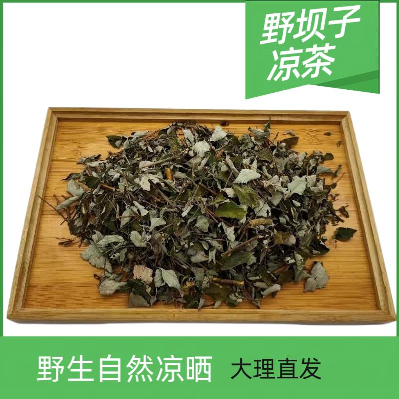烧烤凉茶野坝子云南省高山自然野生晾晒大理漾濞袋装半斤清热泡酒