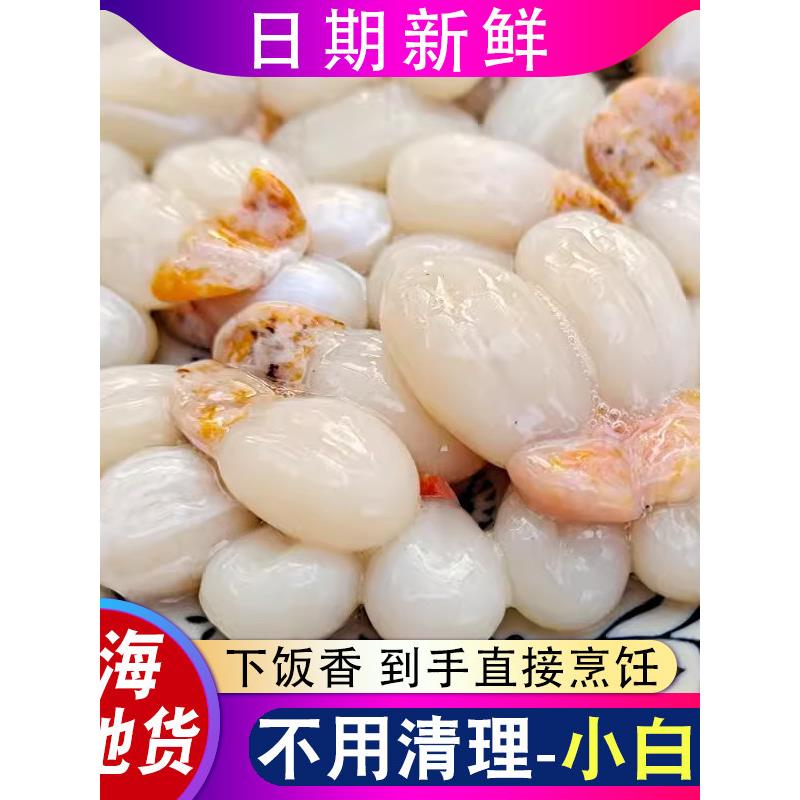 宁波野生大墨鱼蛋 小白蛋目鱼蛋乌贼蛋 美味滋补东海舟山海鲜特产