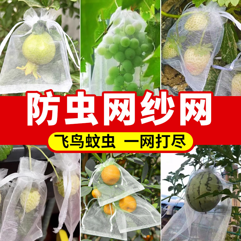 防虫网纱网瓜果套袋尼龙r材质透光透气反复使用多种规格园艺好帮