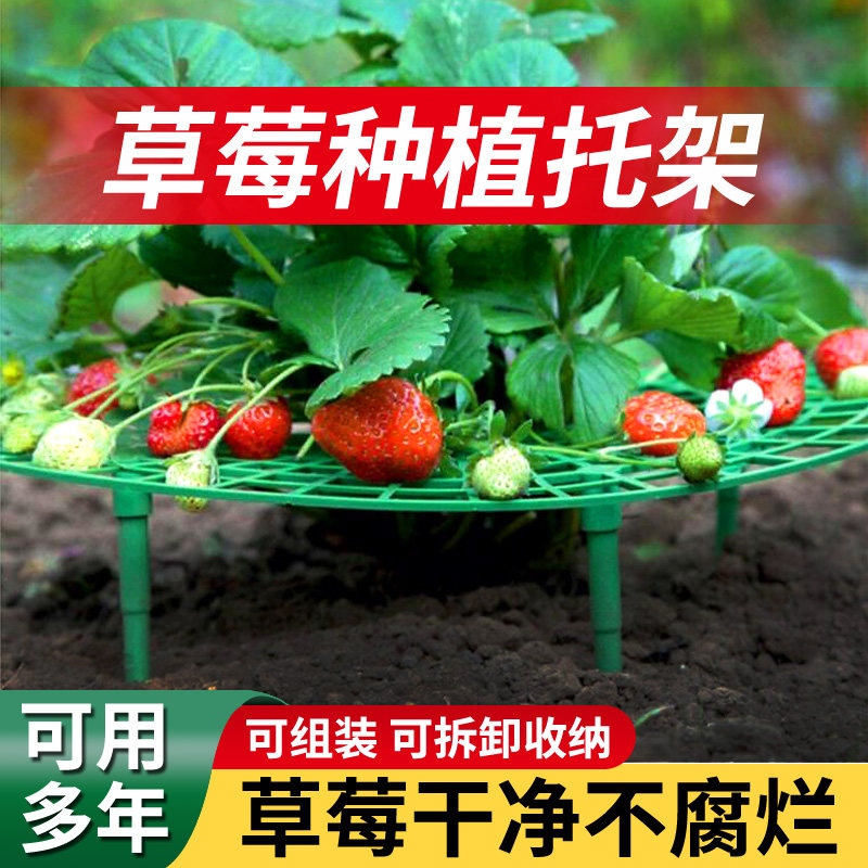 速发草莓托架草莓种植架台草莓莓架种草植支盆栽架子种草莓架子防