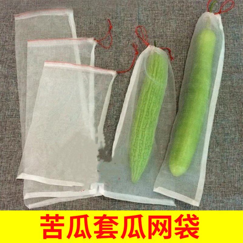 速发苦瓜套袋网纱水袋果防虫保护袋子蓝防西瓜丝瓜茄子黄瓜草莓莓