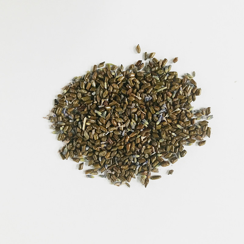 速发瑜草眼枕去除黑眼圈睡眠加热薰衣眼决明子伽罩艾扬格休息术重