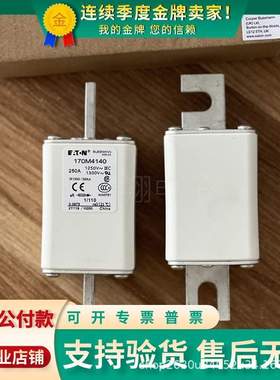 巴斯曼熔断器170M4188/4189/4190/4191/4192/4193/4194/4195/4196