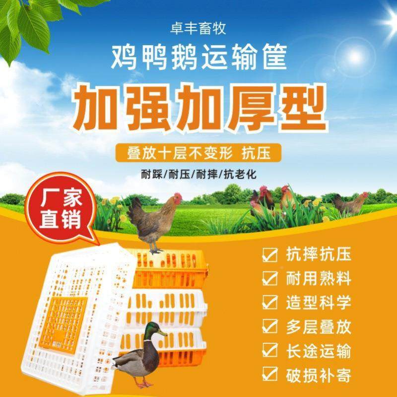 运输笼笼塑料鸡家禽周转箱筐成鸡鸭鸽子笼子德家HET用鹅大号兔笼,农机/农具/农膜,农用防护器具,淘宝优惠券,粉丝福利购,淘宝优惠卷