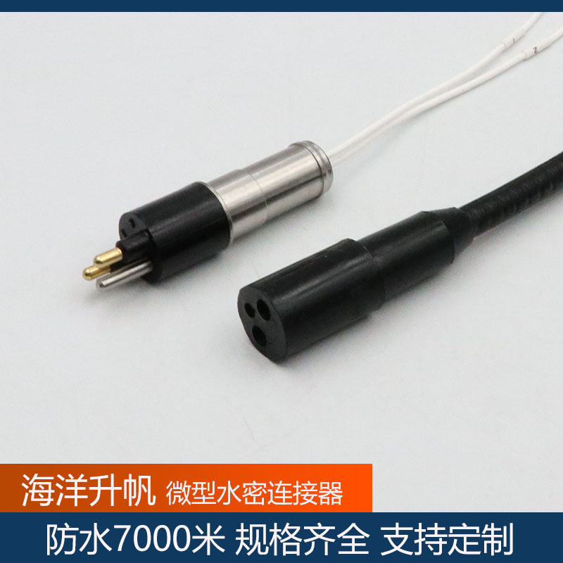 海洋升帆7000米水密2芯插头