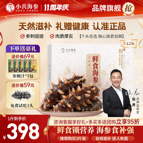 小兵海参辽刺参鲜食海参营养高