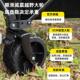 户外露营推车聚拢型露营车营地车野营可折叠小推车野餐车