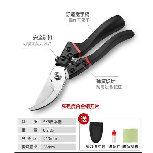 园艺剪枝剪刀省力修枝剪7寸8寸9寸家用果树花卉快速修理剪刀