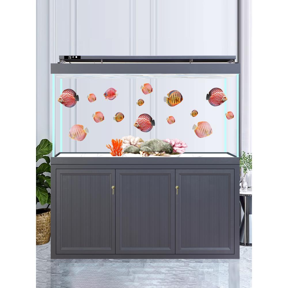 缸内无无管件无用管件底滤鱼缸卓厅大型家宁管道客屏风隔断超白龙