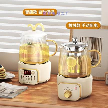 养生壶小型办公室煮茶壶迷你煮茶器mini养生杯多功能一人用