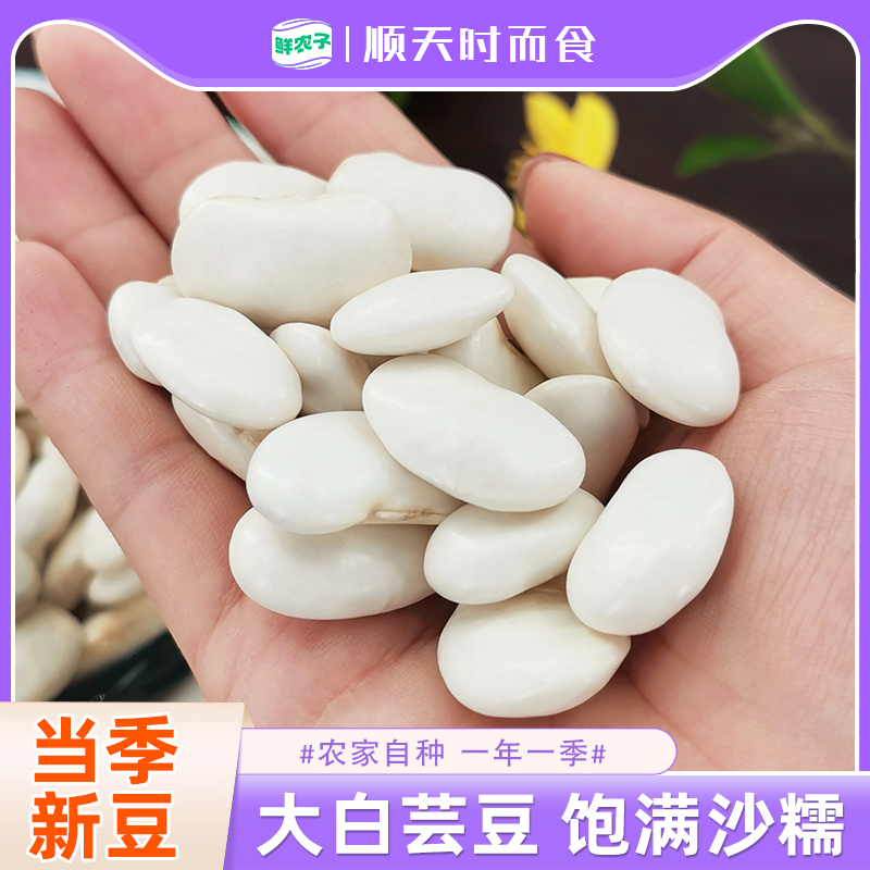 大白芸豆新货农家自种大雪豆大白豆五谷杂粮粉糯易煮白云豆粗粮