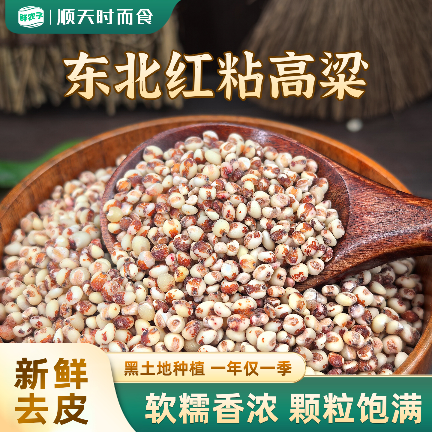 东北正宗粘高粱米农家新米