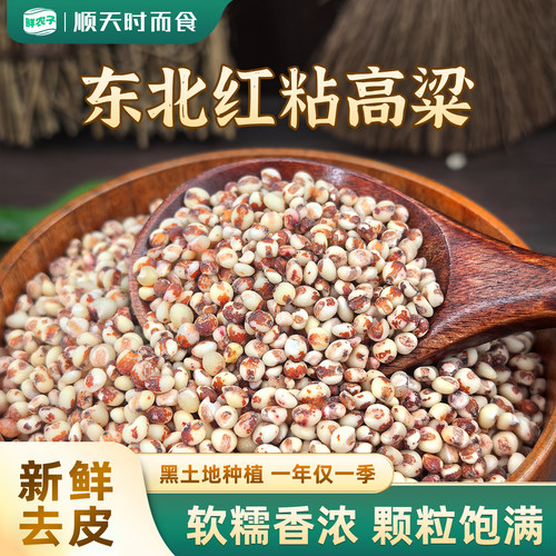 东北正宗粘高粱米农家新米