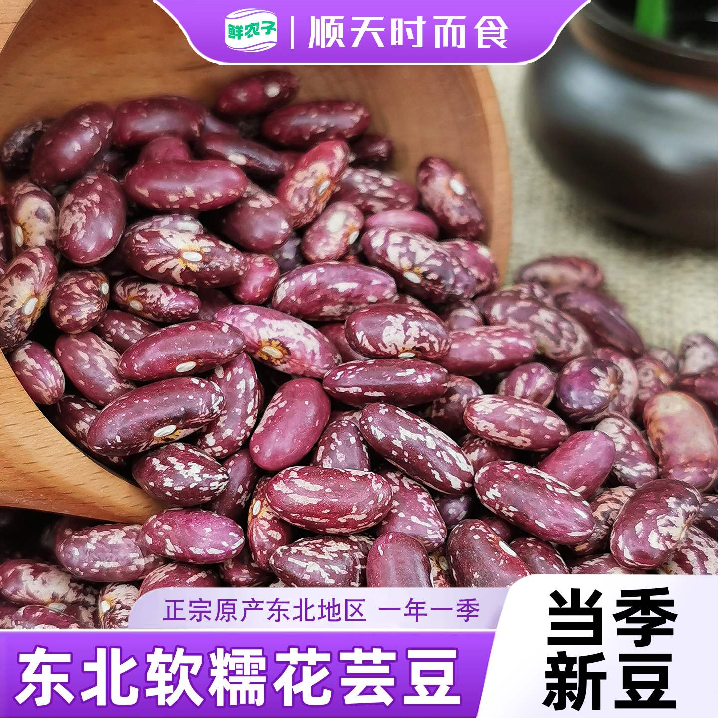 东北花芸豆新货大粒农家特产花腰豆红花豆煲大碴粥粗粮紫花芸豆