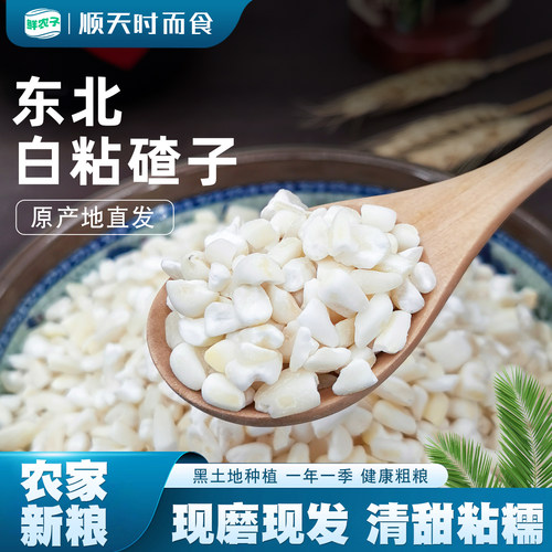 甜糯白玉米碴子大渣子新货包谷糁农家自种五谷杂粮白粘碴子大粒
