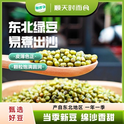 东北新绿豆五谷杂粮精品小绿豆发芽新鲜农家可发芽颗粒饱满绿豆粥